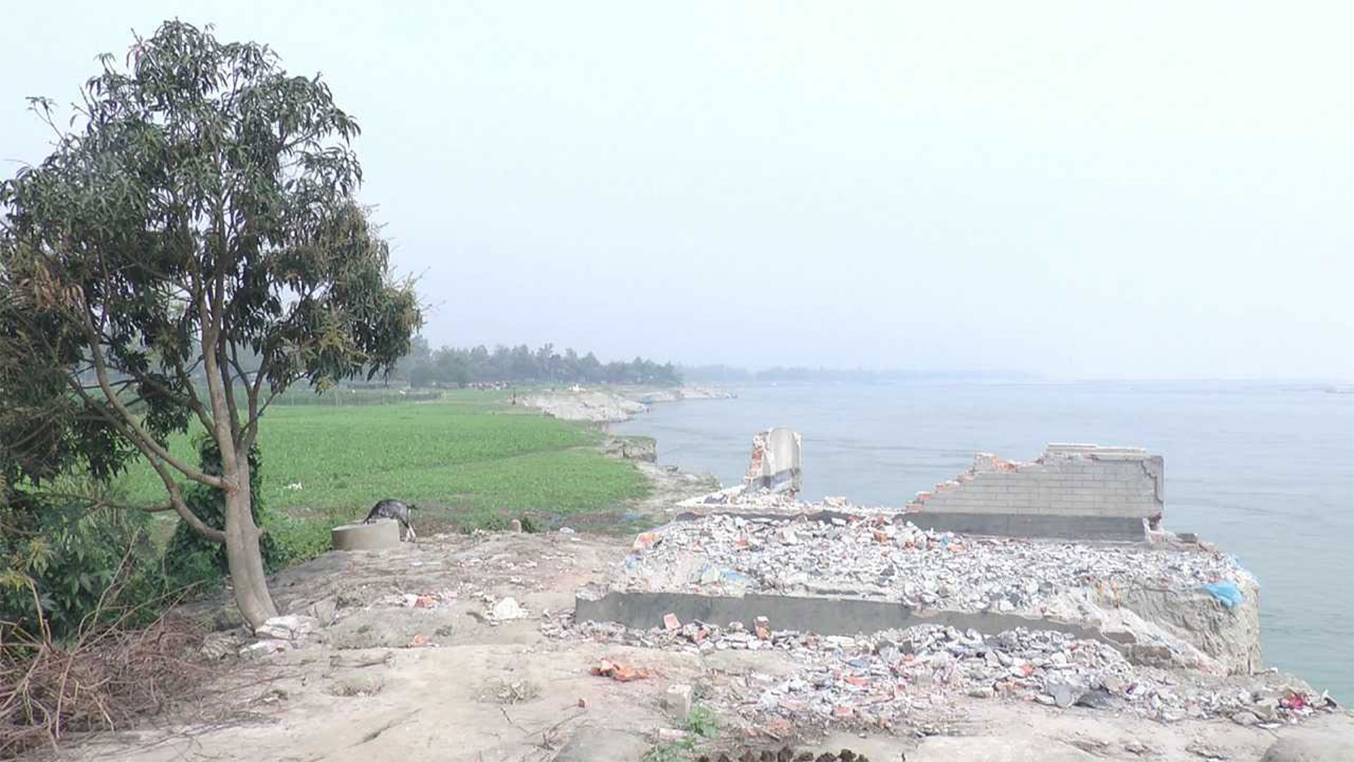 শুষ্ক মৌসুমে যমুনার ভাঙন, বিলীন হচ্ছে ঘরবাড়ি