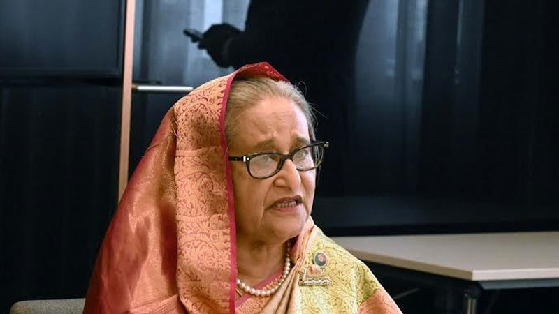 সঠিক তথ্য দিয়ে ষড়যন্ত্রের জবাব দিতে হবে: প্রবাসীদের প্রধানমন্ত্রী