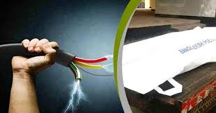 মাছ শিকারে গিয়ে ইঁদুর মারার বৈদ্যুতিক ফাঁদে দুই ভাইয়ের মৃত্যু